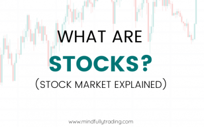 WHAT ARE STOCKS? (STOCK MARKET EXPLAINED)