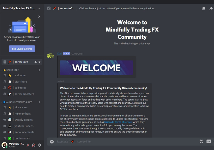 affordable forex chat room mindfully trading